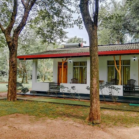 Banana Rest Sigiriya住宿加早餐旅馆 外观 照片