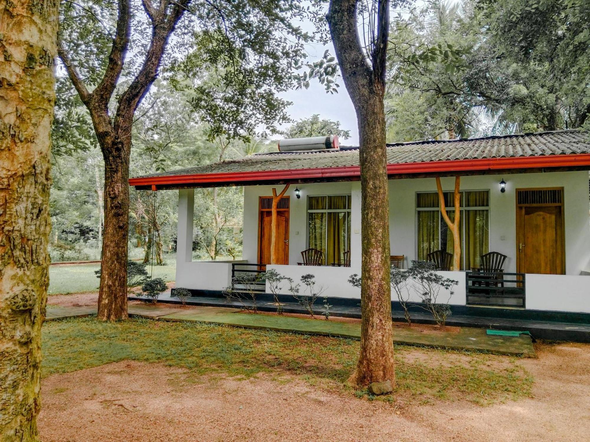 Banana Rest Sigiriya住宿加早餐旅馆 外观 照片