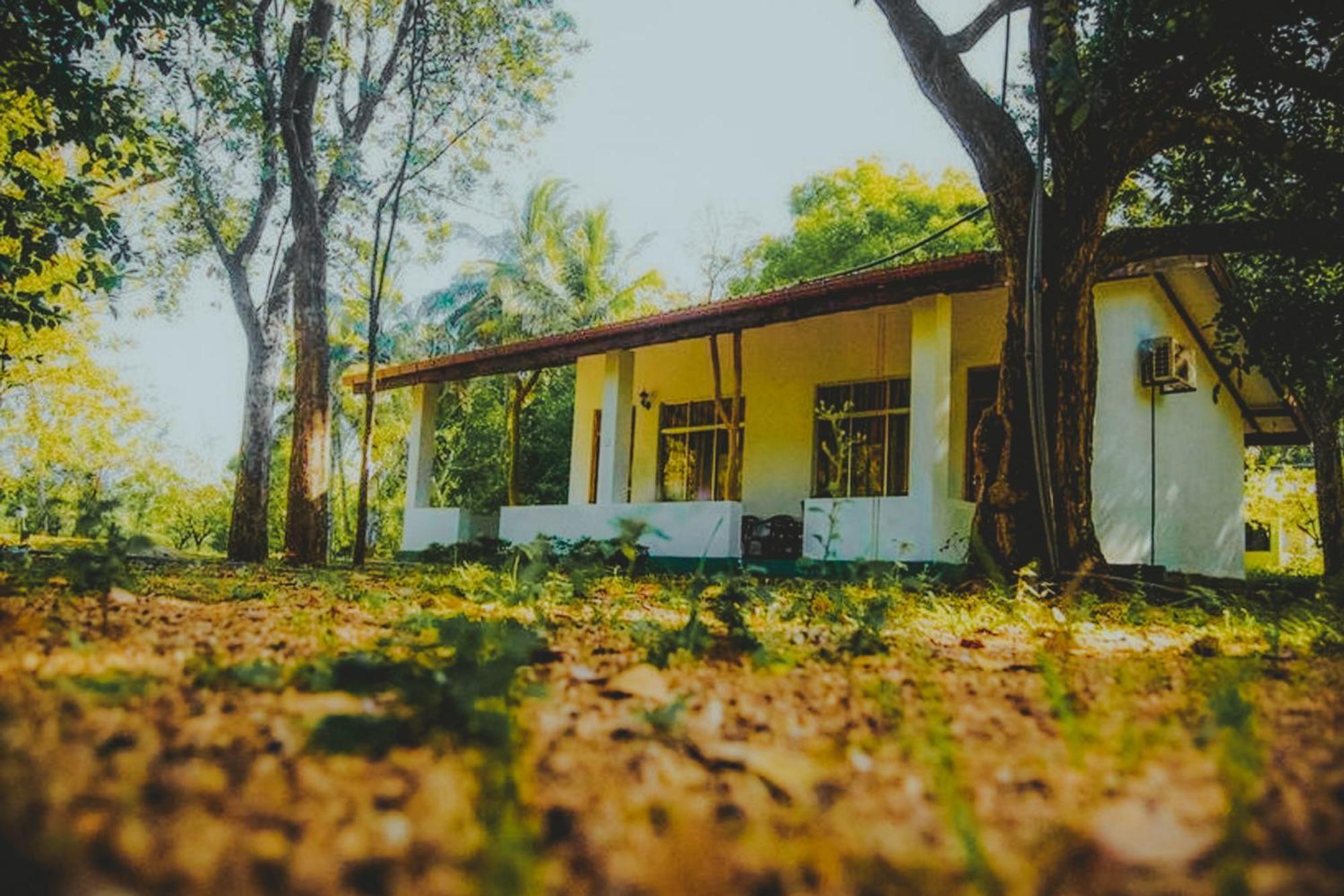 Banana Rest Sigiriya住宿加早餐旅馆 外观 照片