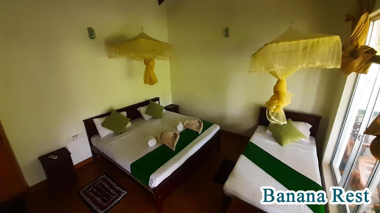 Banana Rest Sigiriya住宿加早餐旅馆 外观 照片