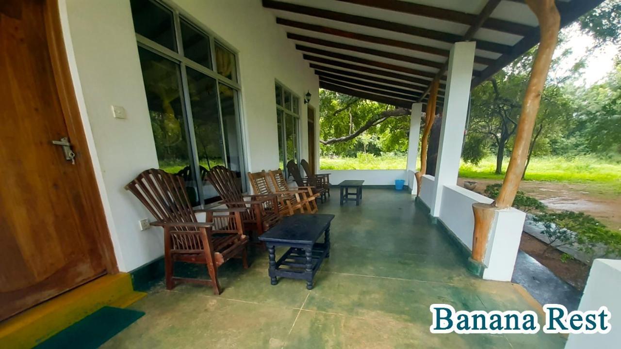 Banana Rest Sigiriya住宿加早餐旅馆 外观 照片